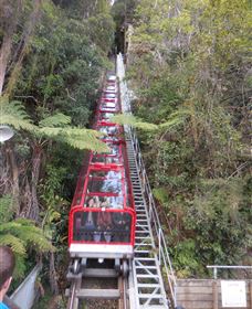 Country Charmâ„¢ Discovery Tours - Surfers Paradise Gold Coast 6