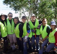 Conservation Volunteers Australia - Sydney - Surfers Paradise Gold Coast