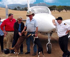 Bankstown Aerodrome NSW Surfers Paradise Gold Coast