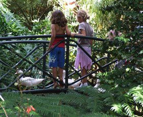EG Waterhouse National Camellia Garden - Surfers Paradise Gold Coast 0