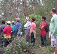 Boronia Tours - Surfers Paradise Gold Coast