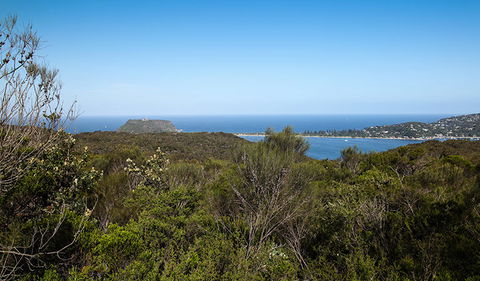 Aboriginal Heritage Walk - Surfers Paradise Gold Coast 1
