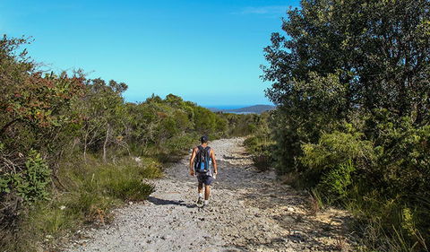 Aboriginal Heritage Walk - Surfers Paradise Gold Coast 3