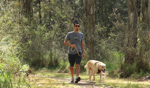 Second Ponds Creek Walk - Surfers Paradise Gold Coast 3