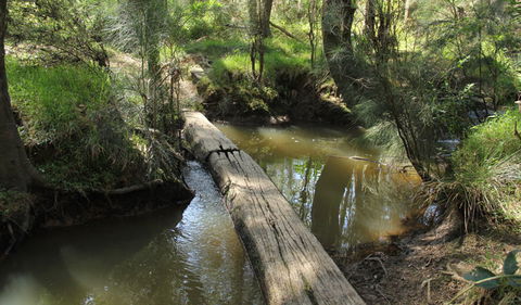 Second Ponds Creek Walk - Surfers Paradise Gold Coast 2