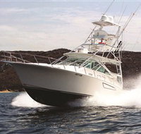 1300 Big Fish - Surfers Paradise Gold Coast