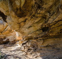 Marramarra National Park - Surfers Paradise Gold Coast