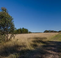 Scheyville horse riding trails - Surfers Paradise Gold Coast