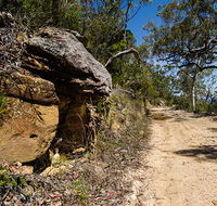 Canoelands Ridge walking track - Surfers Paradise Gold Coast