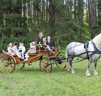 Classic Carriage Drives - Surfers Paradise Gold Coast
