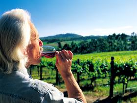 Ashton Hills Vineyard - Surfers Paradise Gold Coast 0