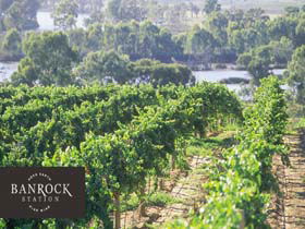 Banrock Station Wine And Wetland Centre - Surfers Paradise Gold Coast 0