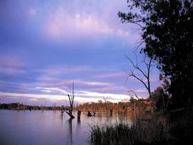 Loch Luna Game Reserve And Moorook Game Reserve - Surfers Paradise Gold Coast 0