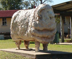 Ram Park - Surfers Paradise Gold Coast 1
