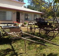 Mr and Mrs Behan Sulky Display - Surfers Paradise Gold Coast