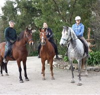 Academy of Dressage - Surfers Paradise Gold Coast