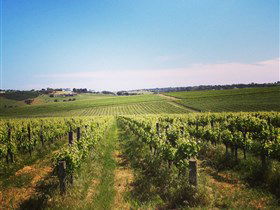 Adelaide Winemakers - Surfers Paradise Gold Coast 0
