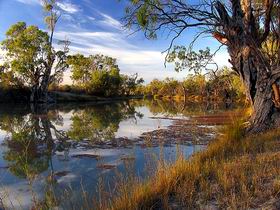 Murray River National Park - Surfers Paradise Gold Coast 0