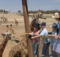 Monarto Open Range Zoo - Surfers Paradise Gold Coast