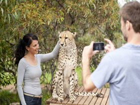 Monarto Open Range Zoo - Surfers Paradise Gold Coast 1