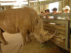 Monarto Open Range Zoo - Surfers Paradise Gold Coast 2