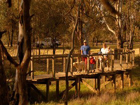 Loxton's Drives, Walks And Trails - Surfers Paradise Gold Coast 0