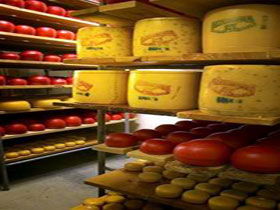 Alexandrina Cheese Company - Surfers Paradise Gold Coast 0