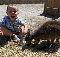 Animal Farm Goolwa - Surfers Paradise Gold Coast