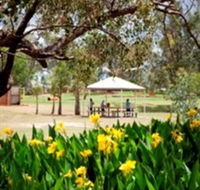 Charleville - Graham Andrews Parklands - Surfers Paradise Gold Coast
