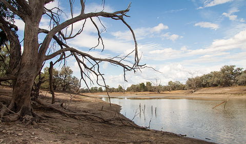 Toorale National Park - Surfers Paradise Gold Coast 0