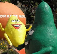Orange World - Surfers Paradise Gold Coast