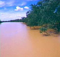 Warrego River - Surfers Paradise Gold Coast