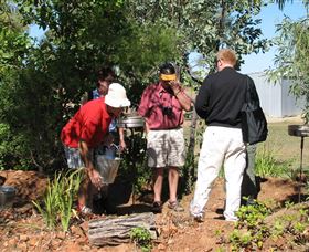 Mount Surprise Gems - Surfers Paradise Gold Coast 2
