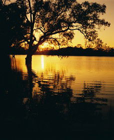 Hattah-Kulkyne National Park - Surfers Paradise Gold Coast 0