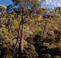 Ka Ka Mundi Carnarvon National Park - Surfers Paradise Gold Coast