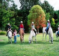Limestone Coast Horseriding - Surfers Paradise Gold Coast