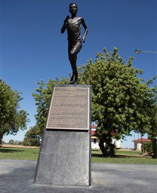 Railway Park Dirranbandi - Surfers Paradise Gold Coast 1