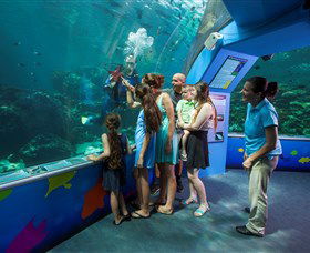 Reef HQ Aquarium - Surfers Paradise Gold Coast 2