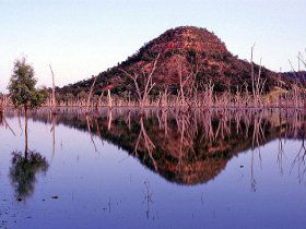 Nuga Nuga National Park And Lake Nuga Nuga - Surfers Paradise Gold Coast 3