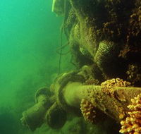 Wreck Diving at Magnetic Island - Surfers Paradise Gold Coast