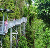 Mamu Tropical Skywalk - Surfers Paradise Gold Coast
