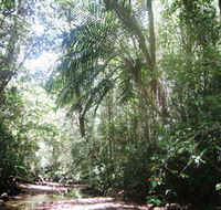 Mount Lewis National Park - Surfers Paradise Gold Coast