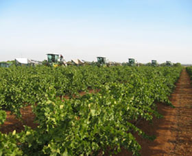 Warburn Estate - Surfers Paradise Gold Coast 1