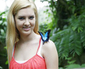 Australian Butterfly Sanctuary - Surfers Paradise Gold Coast 0