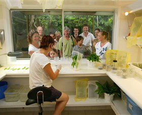 Australian Butterfly Sanctuary - Surfers Paradise Gold Coast 3