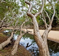 Oyala Thumotang National Park CYPAL - Surfers Paradise Gold Coast