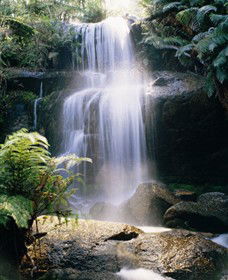Mount Buangor State Park - Surfers Paradise Gold Coast 0