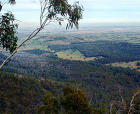 Mount Buangor State Park - Surfers Paradise Gold Coast 2