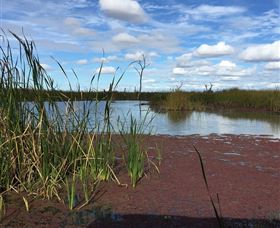 Gwydir Wetlands - Surfers Paradise Gold Coast 0