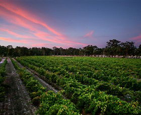 Amherst Winery - Surfers Paradise Gold Coast 0
